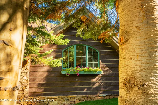 $23,900,000 | 800 South Hayden Road, Aspen, CO 81611