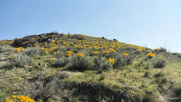 $95,000 | 33 Avery Road, Pateros, WA 98846