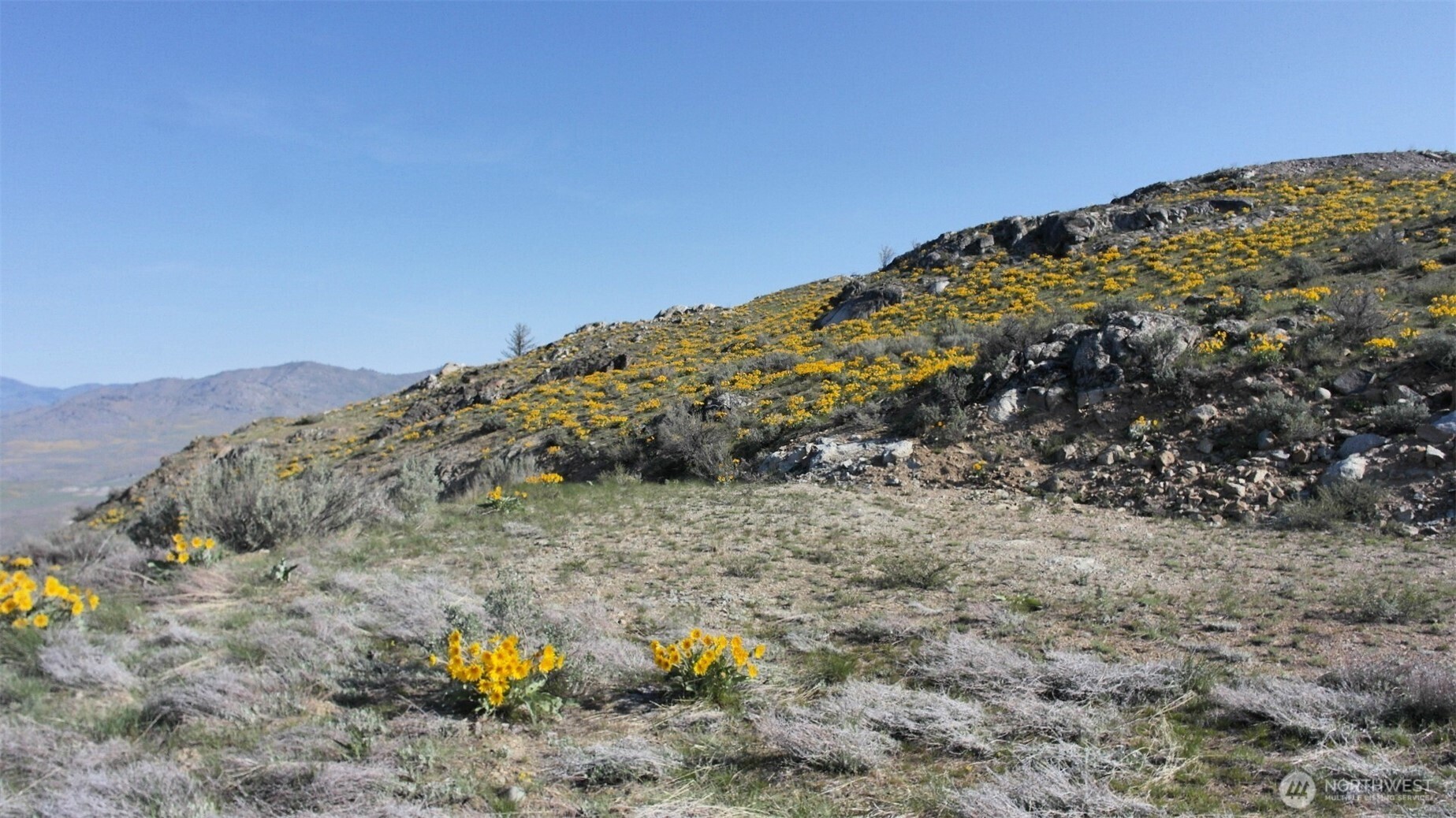 33 Avery Road Pateros, WA 98846 - Photo 14 of 38