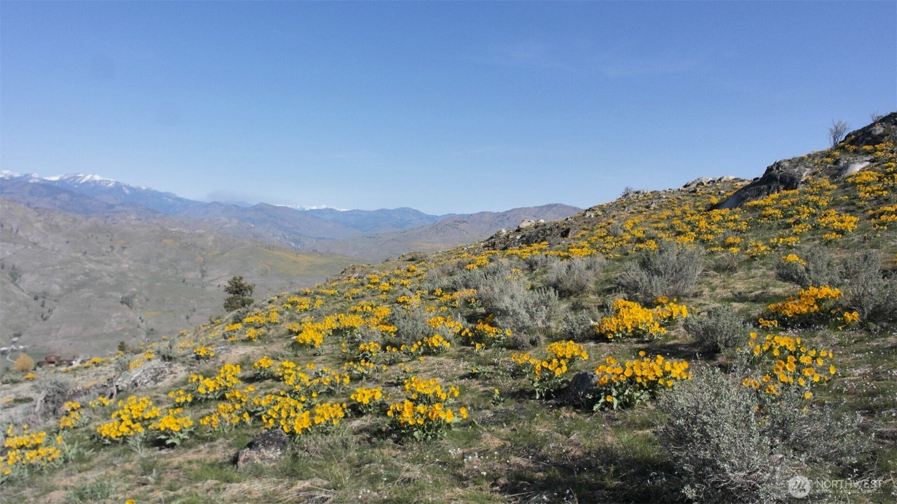 33 Avery Road Pateros, WA 98846 - Photo 16 of 38