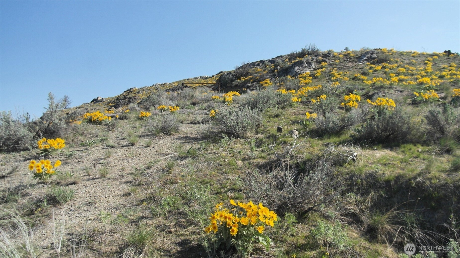 33 Avery Road Pateros, WA 98846 - Photo 2 of 38
