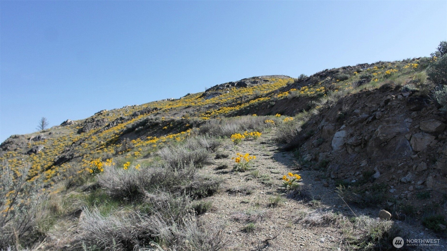 33 Avery Road Pateros, WA 98846 - Photo 31 of 38