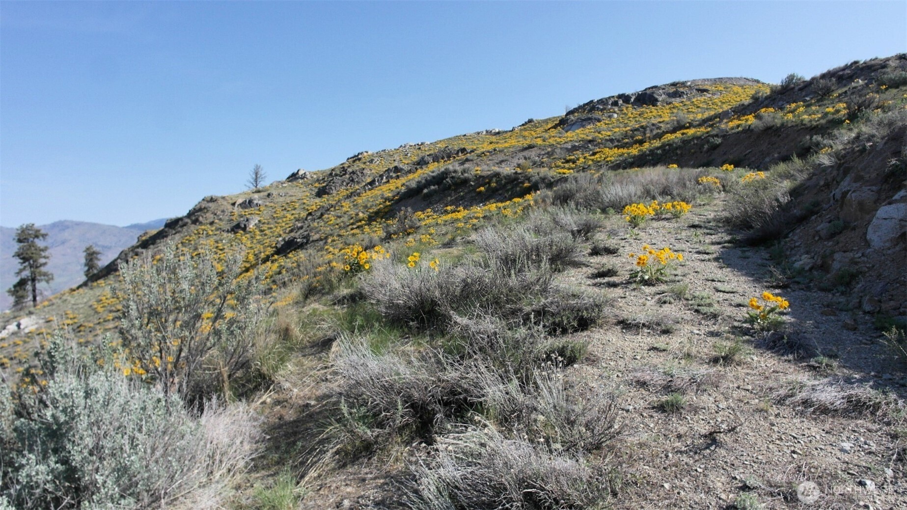 33 Avery Road Pateros, WA 98846 - Photo 32 of 38