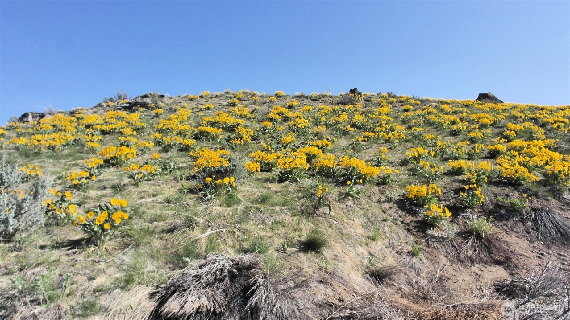 33 Avery Road Pateros, WA 98846 - Photo 7 of 38