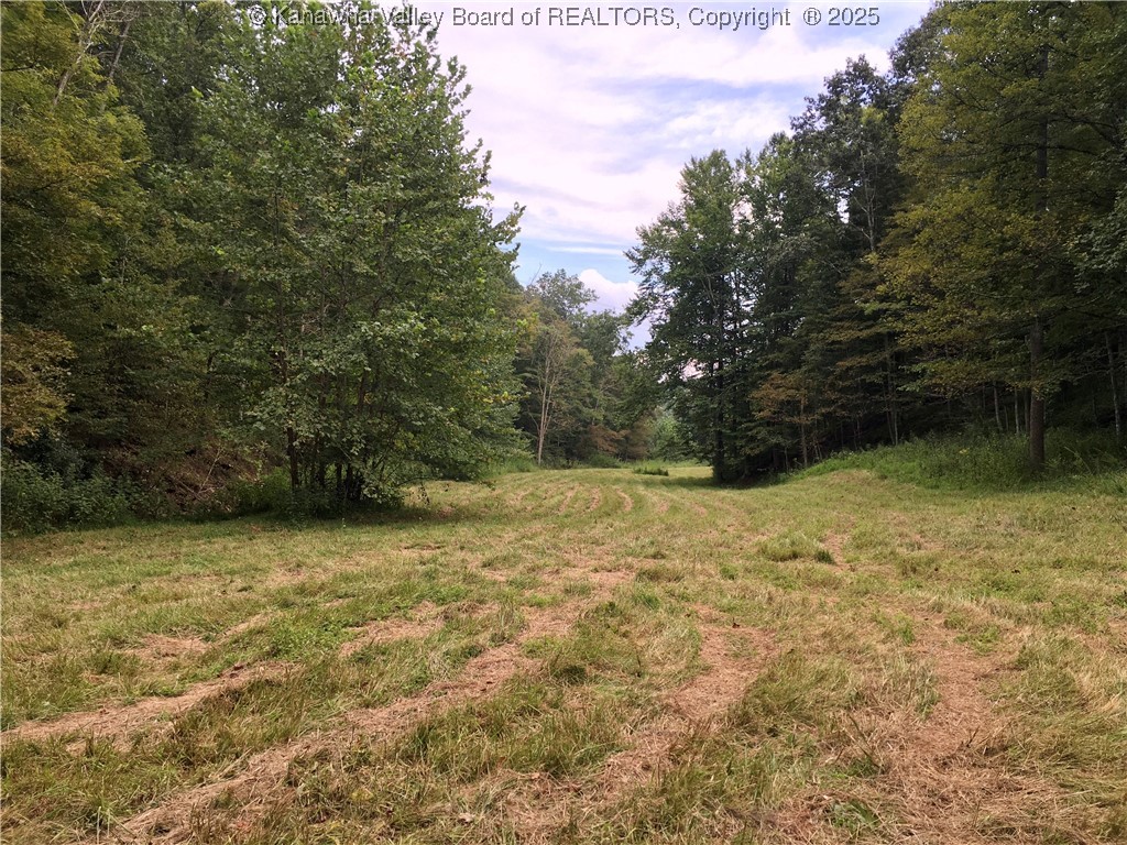 728 Honeycutt-Sisson Road Fraziers Bottom, WV 25082 - Photo 17 of 34 Gallery Image 17