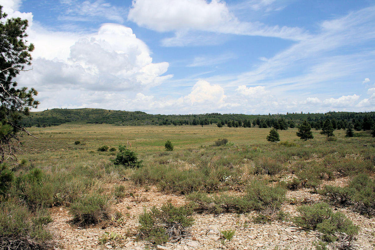 194.45-ac North Kolob Ter Road Springdale, UT 84767 - Photo 1 of 1 194.45 Acres on Kolob Mountain