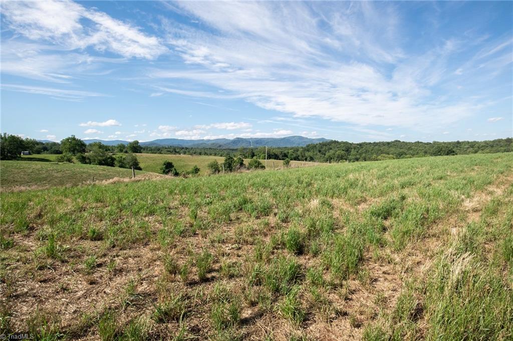 1779 Roundhill Church Road Traphill, NC 28685 - Photo 13 of 48 Gallery Image 13