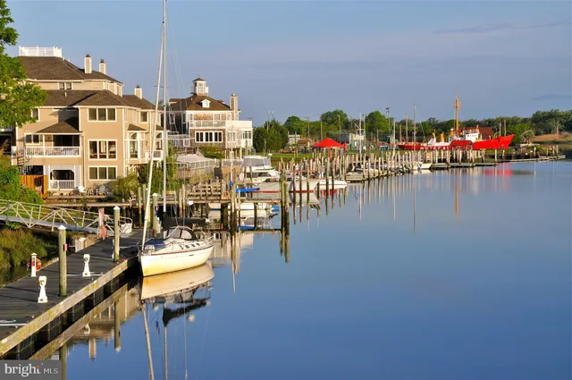 a city view with water view