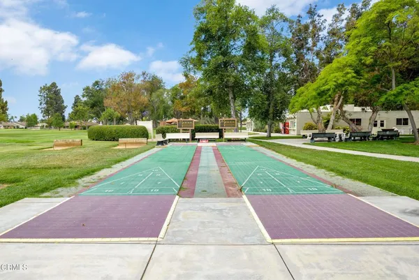 a view of a park with plants and trees