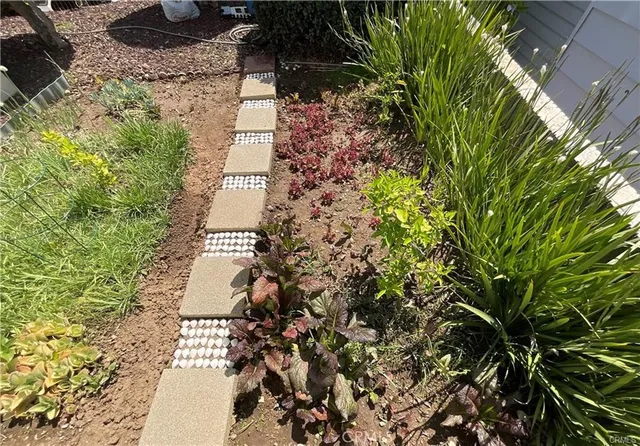 a picture of flowers