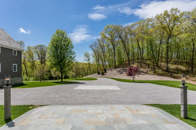 a view of a park with plants and trees