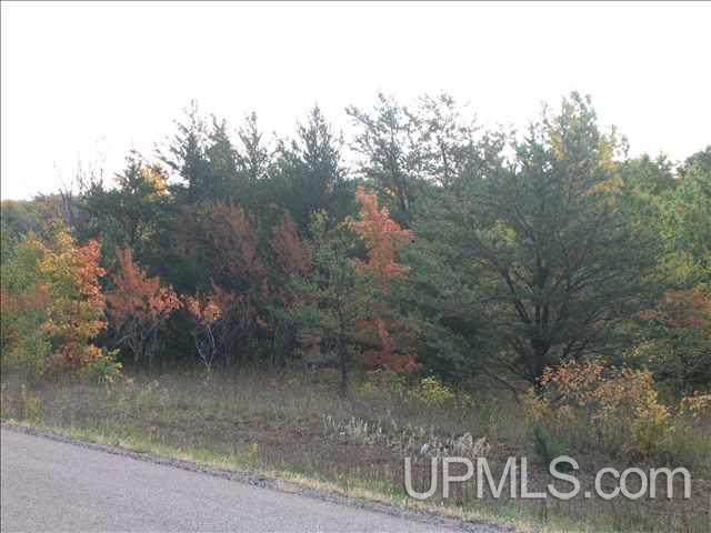 Tbd Obenhoff Road, Unit 7 Atlantic Mine, MI 49905 - Photo 4 of 12 Gallery Image 4