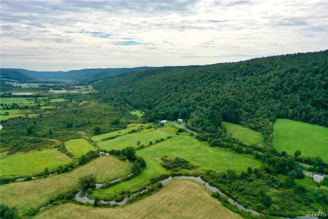 0 West Cheningo Road Truxton, NY 13158 - Photo 8 of 9 Gallery Image 8