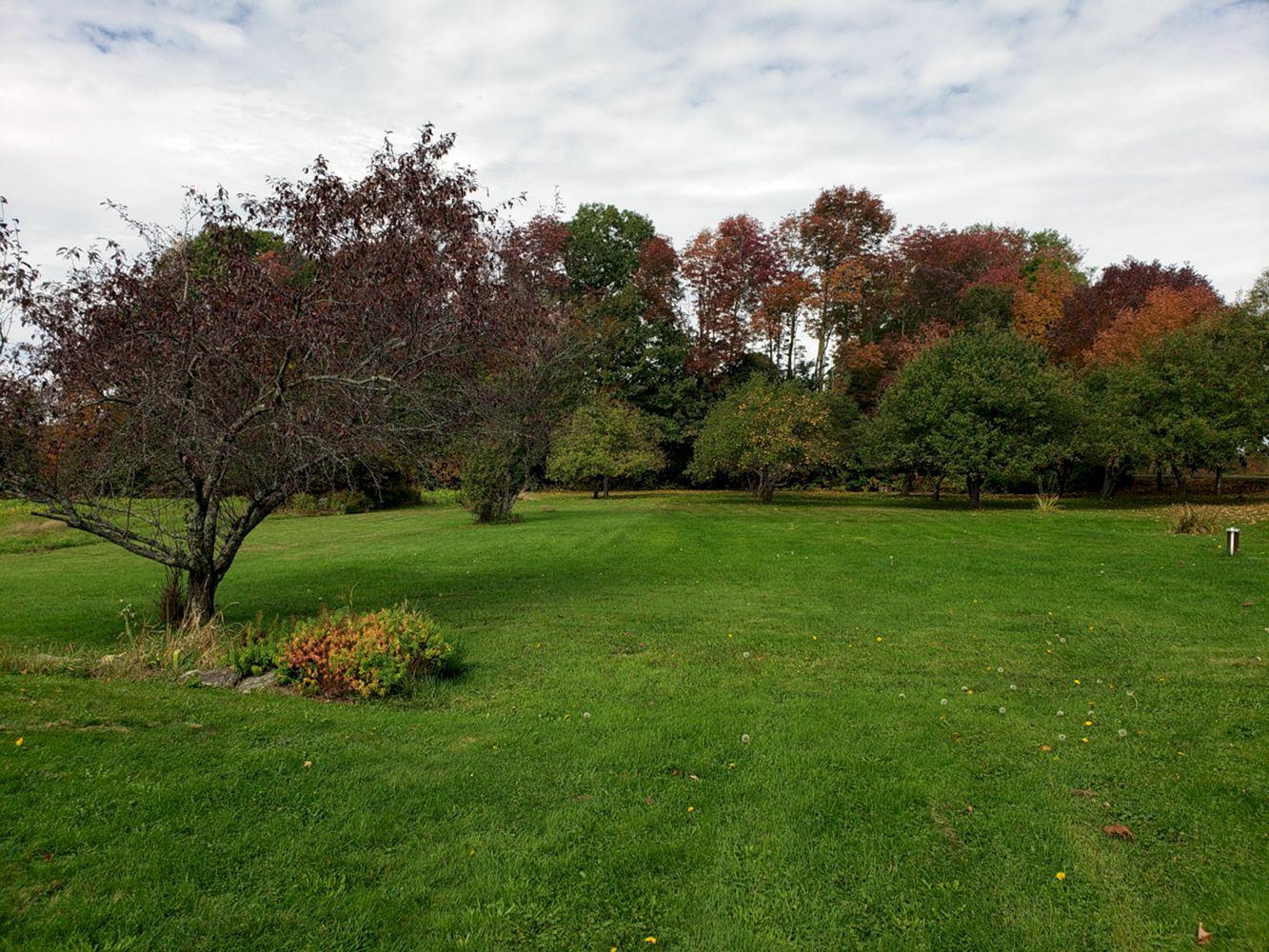 262 Chapman Ridge Road Athens, ME 04912 - Photo 50 of 61 20191003_124832
