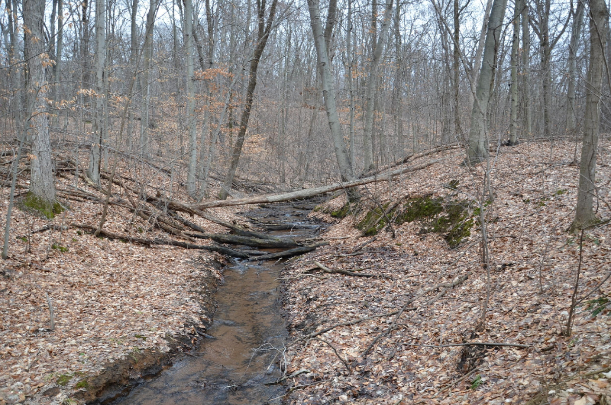 10990 Doster Road Plainwell, MI 49080 - Photo 12 of 14 DSC_1865