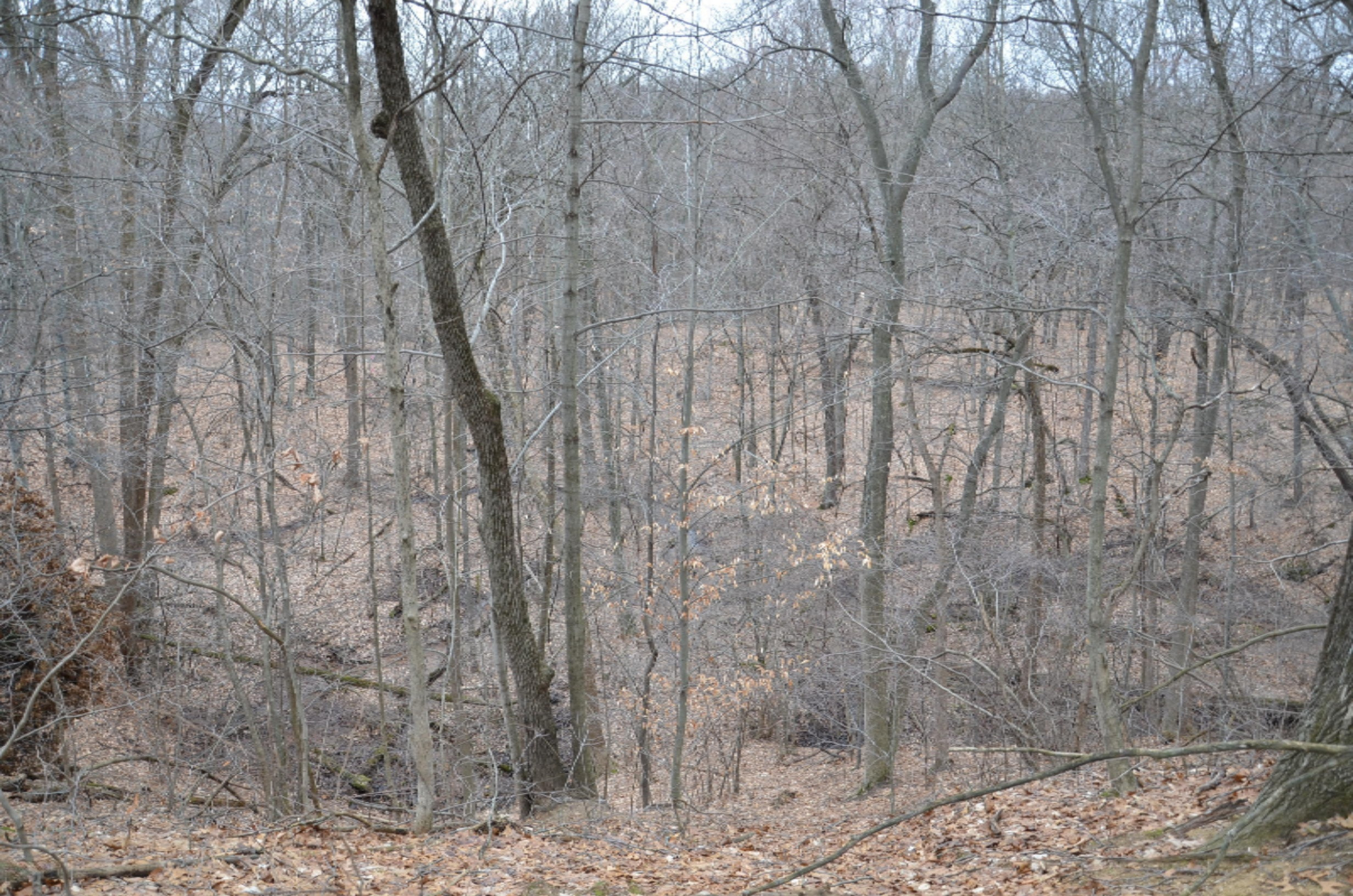 10990 Doster Road Plainwell, MI 49080 - Photo 13 of 14 DSC_1870