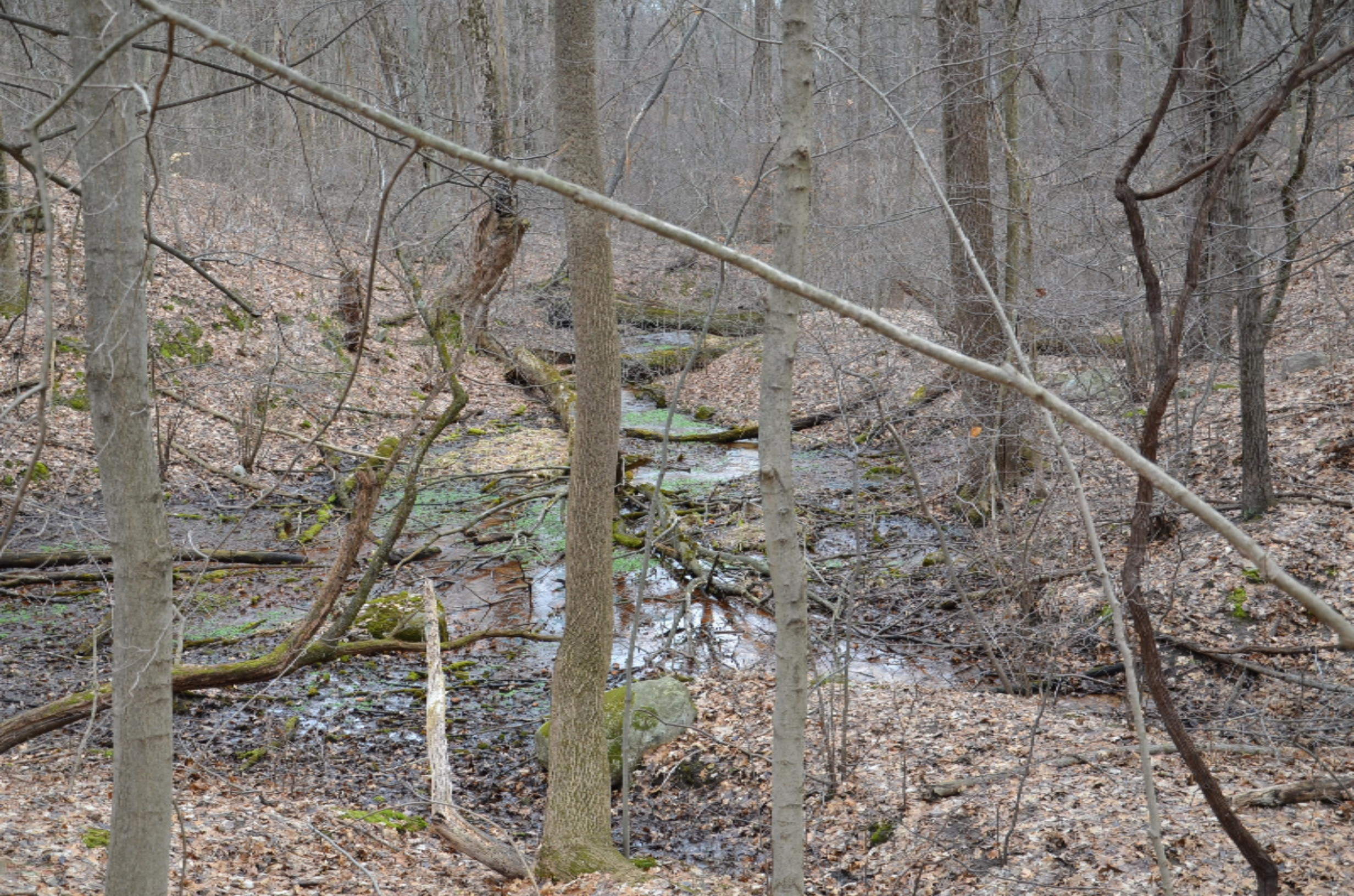 10990 Doster Road Plainwell, MI 49080 - Photo 10 of 14 DSC_1857