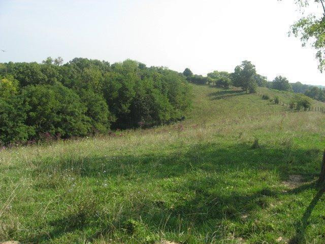 0 Mason Cordova Road Corinth, KY 41010 - Photo 3 of 14 Gallery Image 3