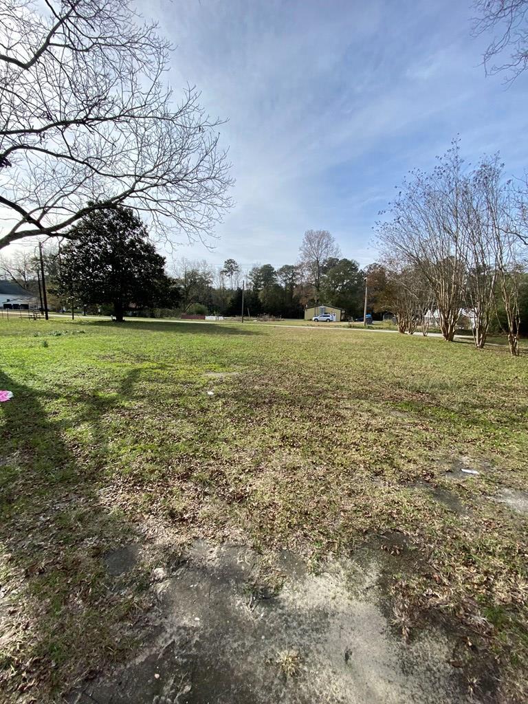 256 Swint Loop Ellerslie, GA 31807 - Photo 9 of 11 Gallery Image 9