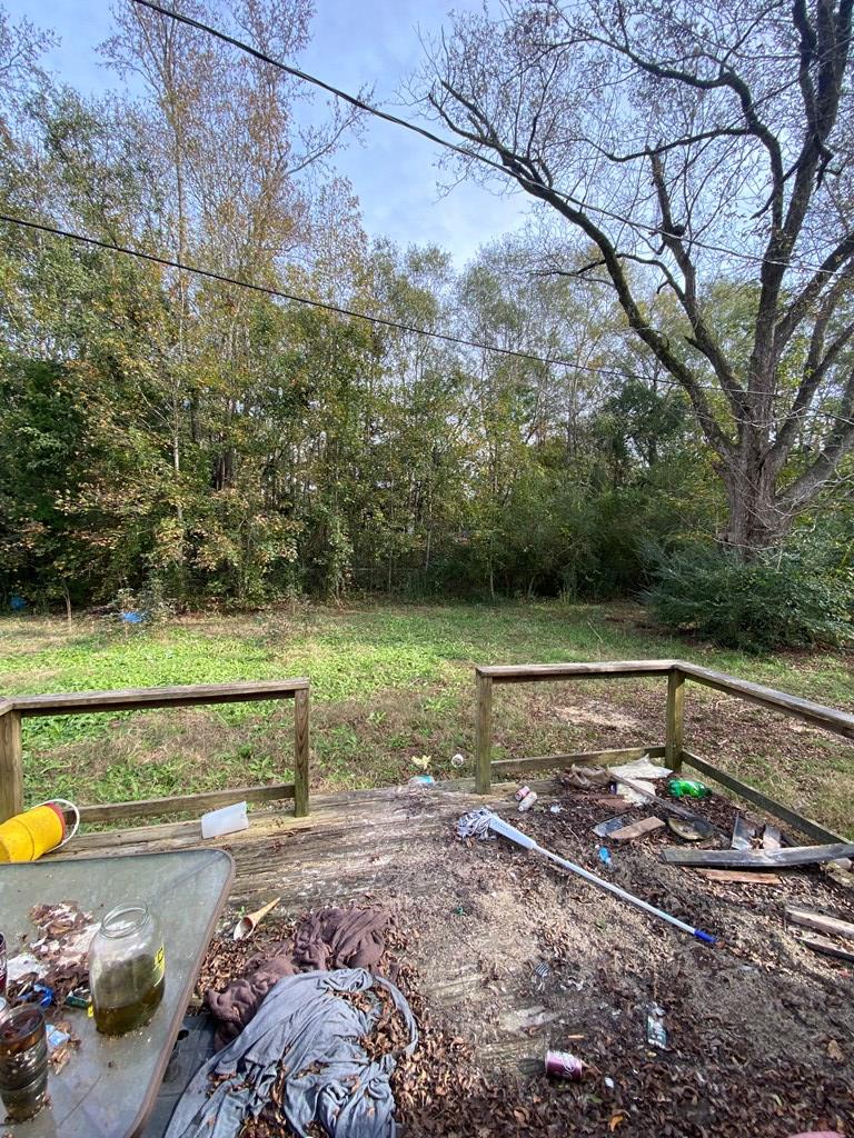 256 Swint Loop Ellerslie, GA 31807 - Photo 10 of 11 Gallery Image 10