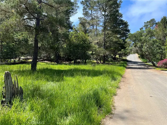 a view of a lake with a yard and large trees