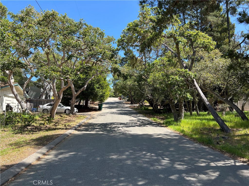 0 Kenneth Drive Cambria, CA 93428 - Photo 5 of 9 a view of a tree in the middle of a yard