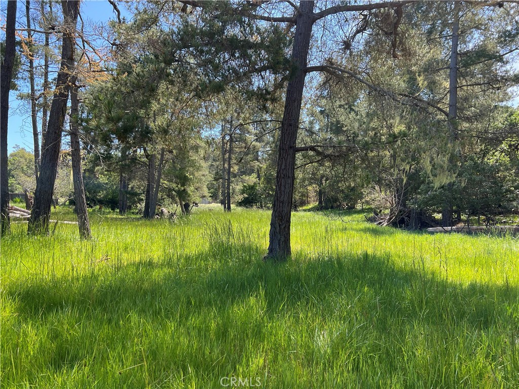 0 Kenneth Drive Cambria, CA 93428 - Photo 7 of 9 a view of an outdoor space and a lake view
