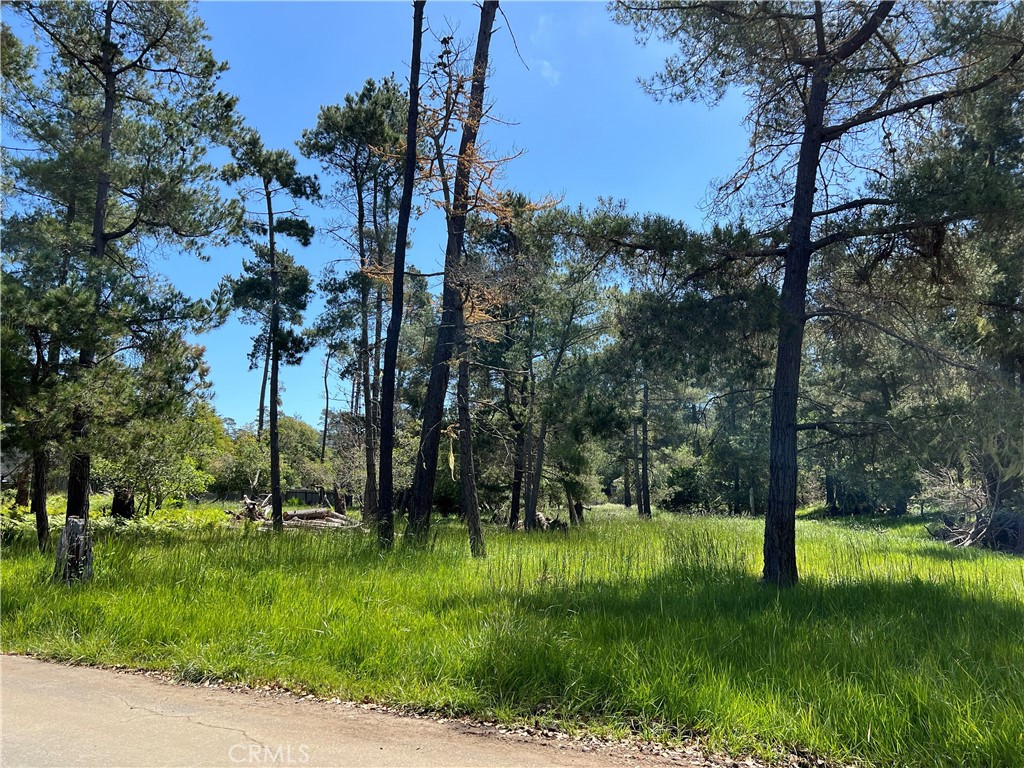 0 Kenneth Drive Cambria, CA 93428 - Photo 9 of 9 a view of park