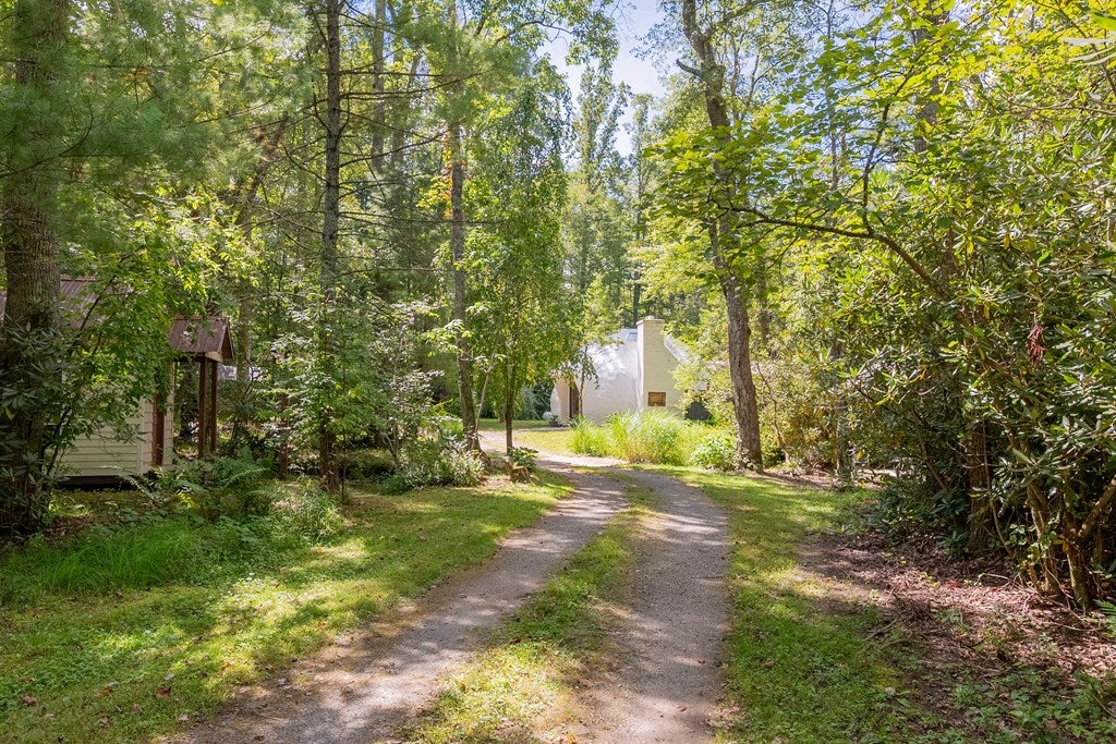 324 Spring Bud Road Fancy Gap, VA 24328 - Photo 3 of 100 Gallery Image 3