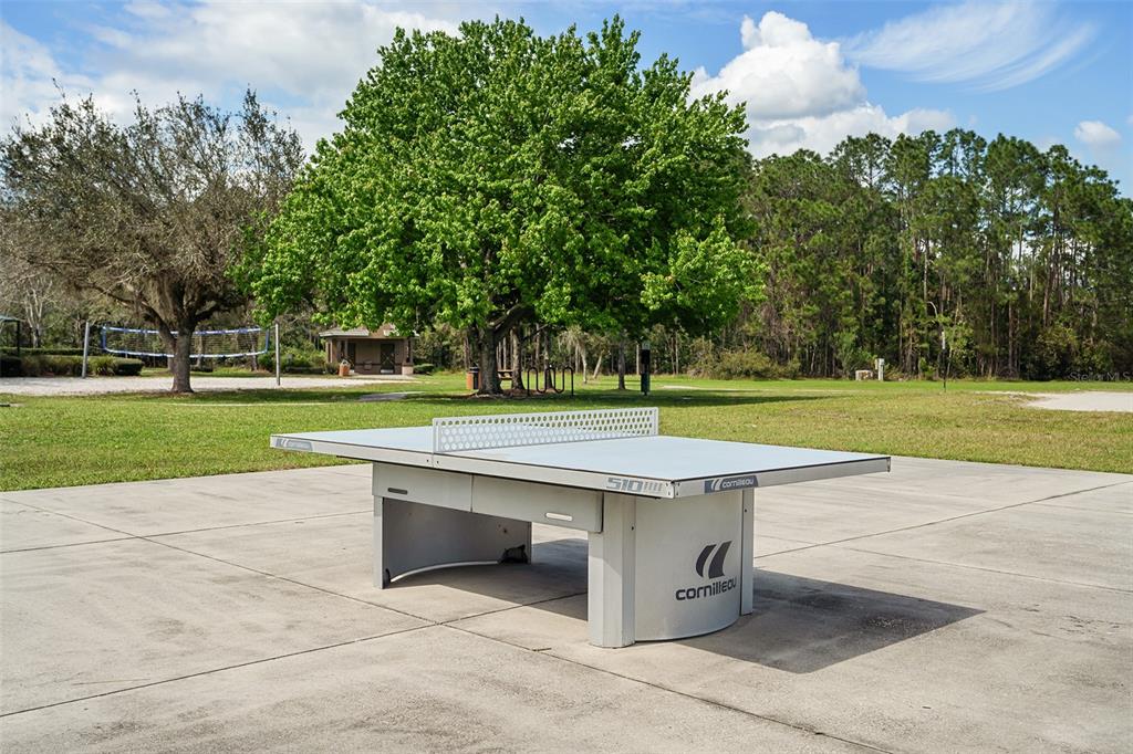 3446 Schoolhouse Road Harmony, FL 34773 - Photo 57 of 77