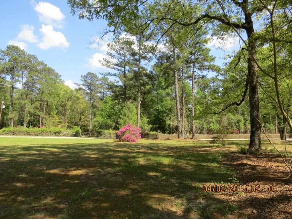 60275 North Snow Creek Road Amite, LA 70422 - Photo 16 of 23 Gallery Image 16