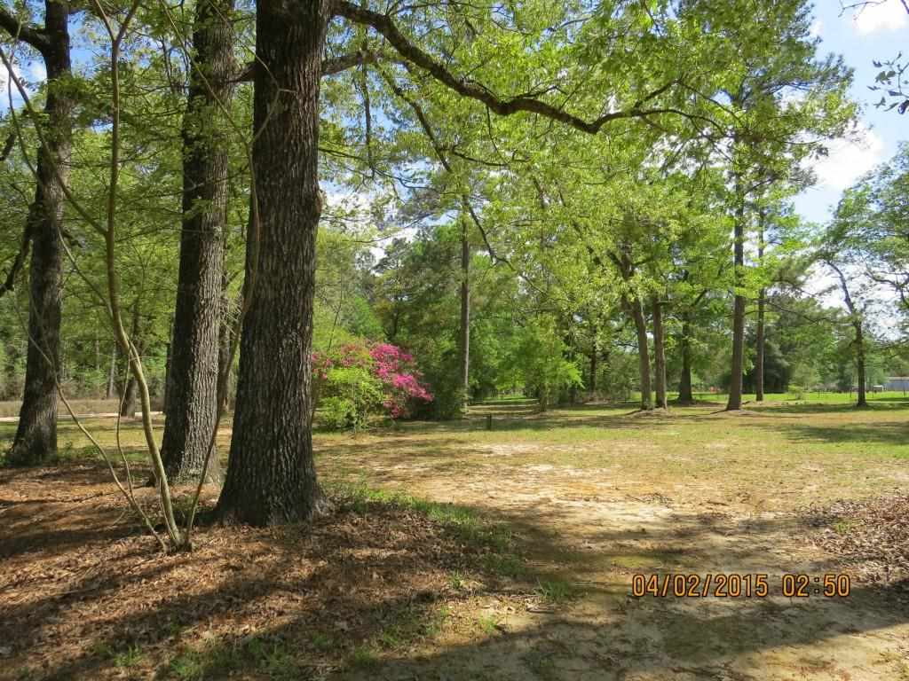 60275 North Snow Creek Road Amite, LA 70422 - Photo 17 of 23 Gallery Image 17