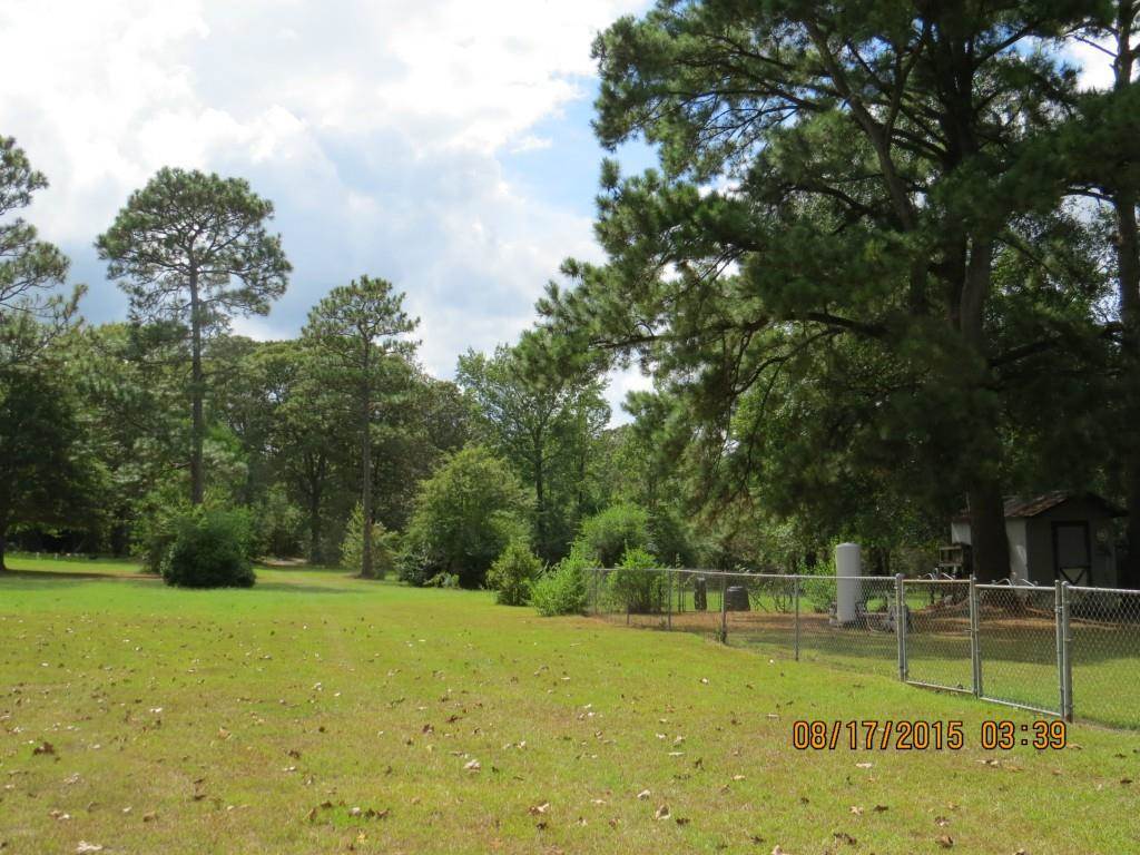 60275 North Snow Creek Road Amite, LA 70422 - Photo 18 of 23 Gallery Image 18