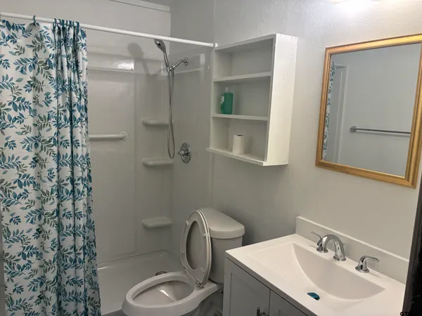 a bathroom with a toilet sink and mirror