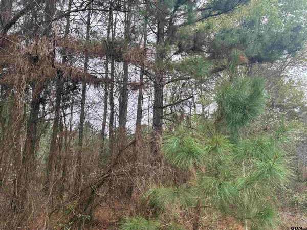 a view of a door of the house