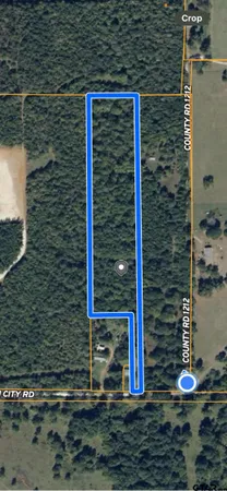 a backyard of a house with yard and trampoline