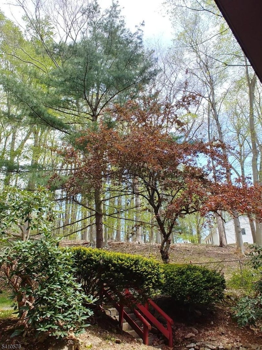 32 Cherryville Hollow Road Flemington, NJ 08822 - Photo 10 of 20
