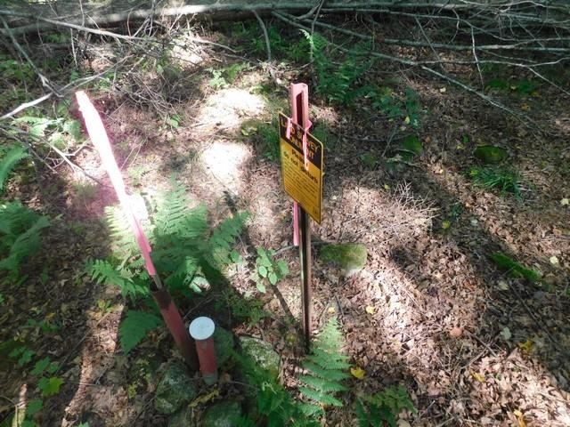 20-acres Fatla Road Armstrong Creek, WI 54103 - Photo 8 of 13 Gallery Image 8