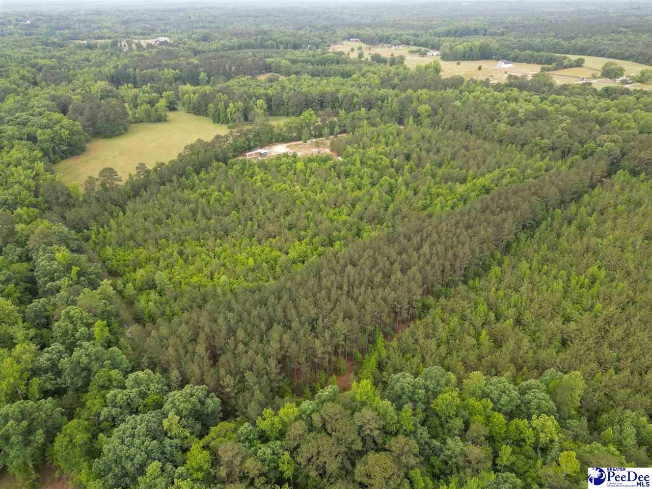1490 Shiloh Acres Road Chesterfield, SC 29709 - Photo 8 of 39 Gallery Image 8