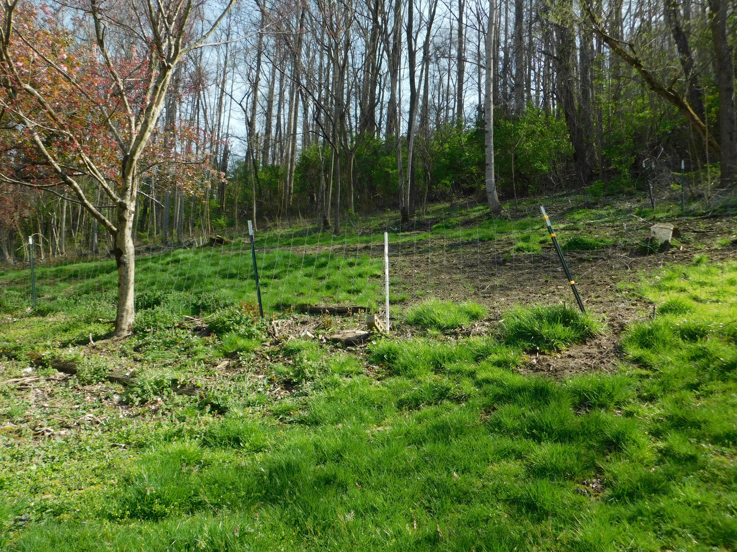 116 Wolf Hollow Road Baxter, KY 40806 - Photo 70 of 80 DSCN6977