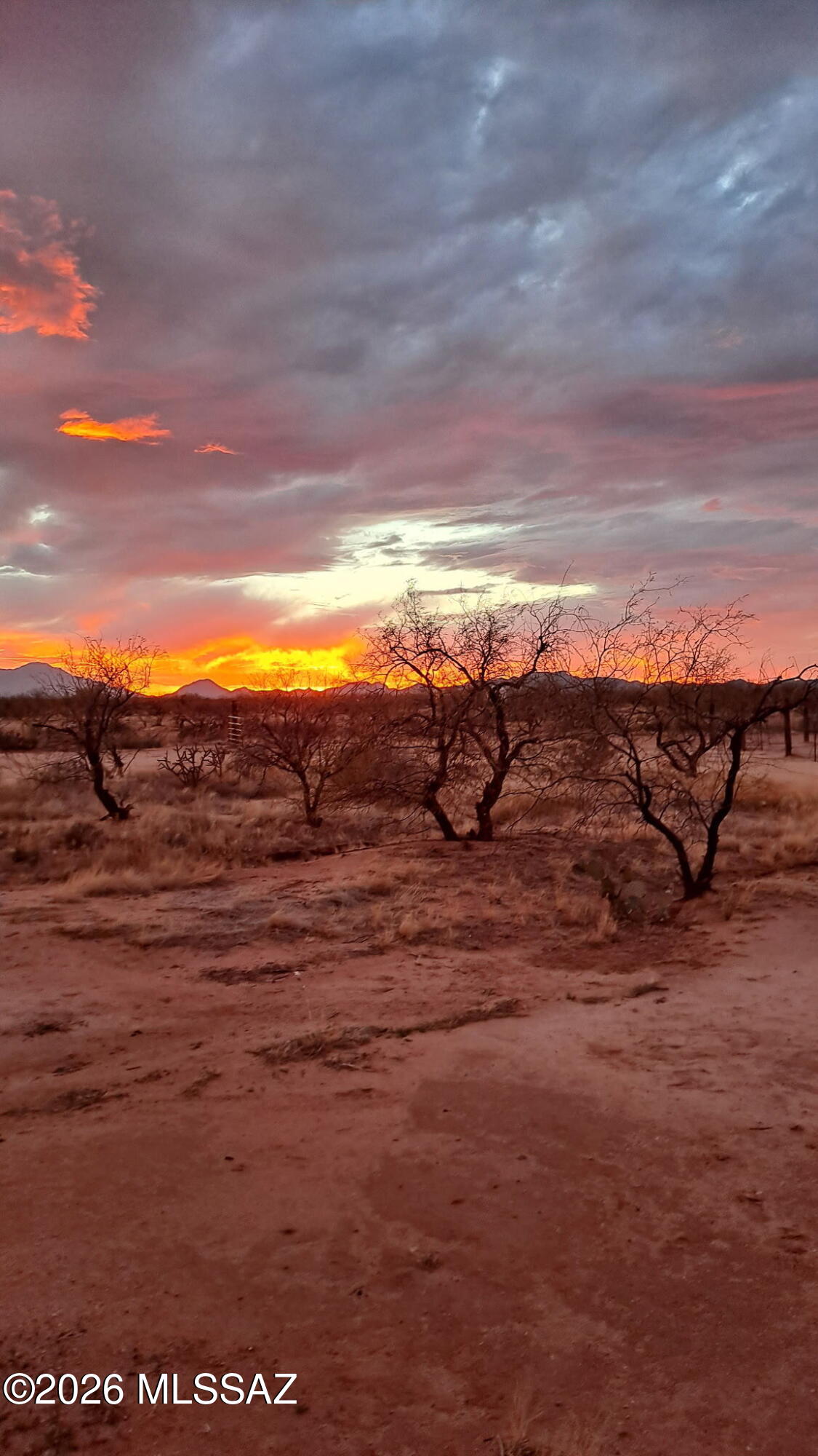 8535 South Marstellar Road Tucson, AZ 85736 - Photo 13 of 30 Beautiful Sunsets