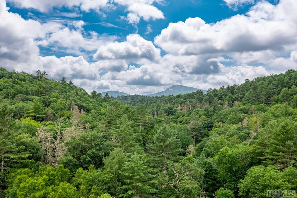 Tbd Laurel Knob Road Cashiers, NC 28717 - Photo 11 of 37 Gallery Image 11
