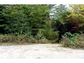 8 Morrison Road Alexandria, NH 03222 - Photo 4 of 4