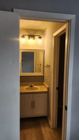 a bathroom with a sink and a mirror