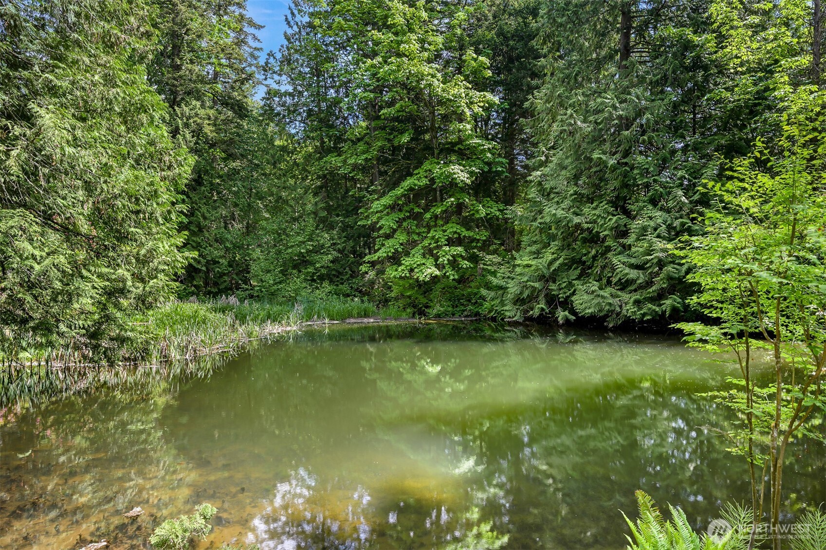 3987 Britton Road Bellingham, WA 98226 - Photo 14 of 33 Gallery Image 14