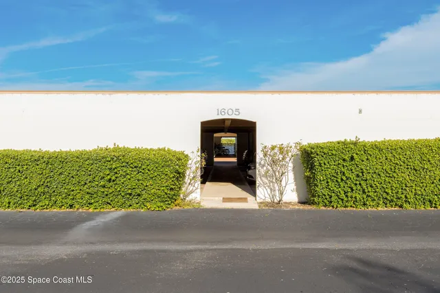 a view of a back yard