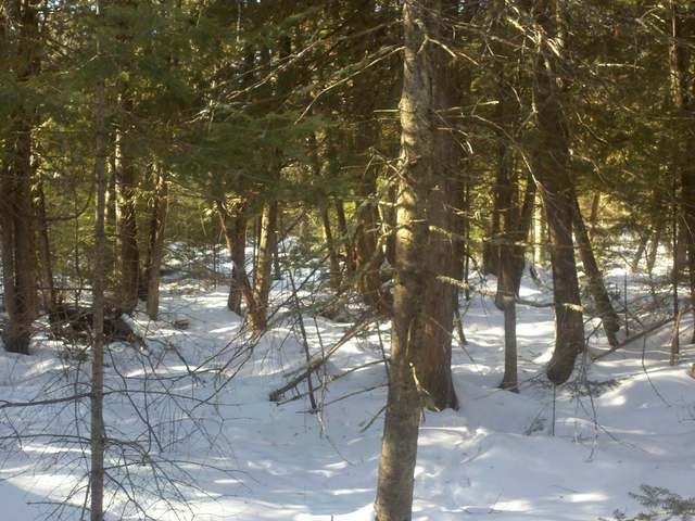 N Hillside Road Tomahawk, WI 54487 - Photo 5 of 20 Gallery Image 5