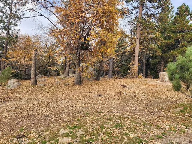 a street view covered with snow