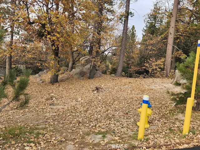 a view of yard covered with snow