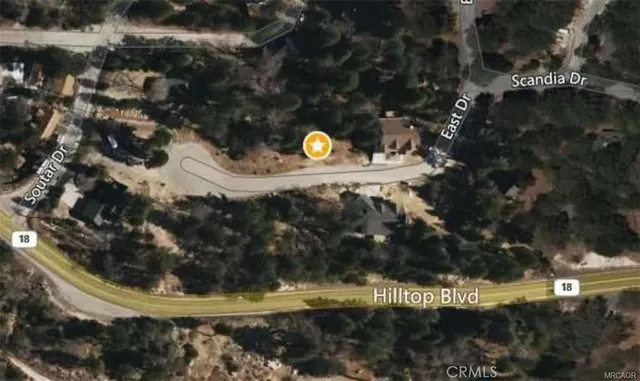 a view of a park that has large trees